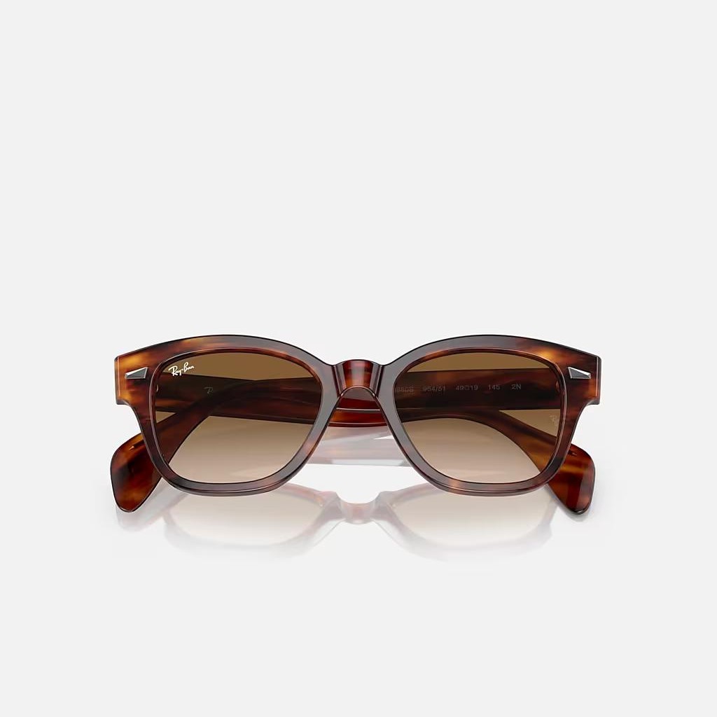 Kính Ray-Ban Rb0880S Nâu