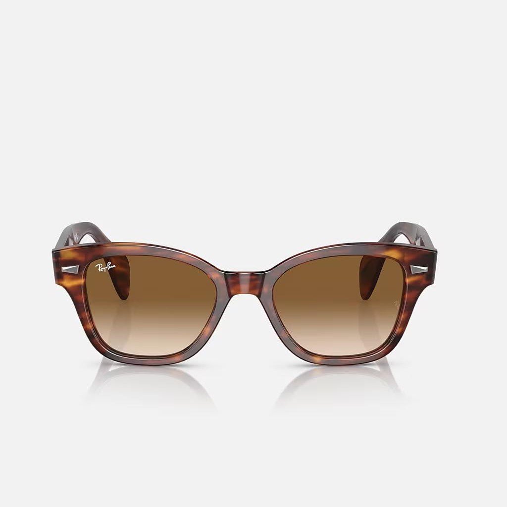 Kính Ray-Ban Rb0880S Nâu