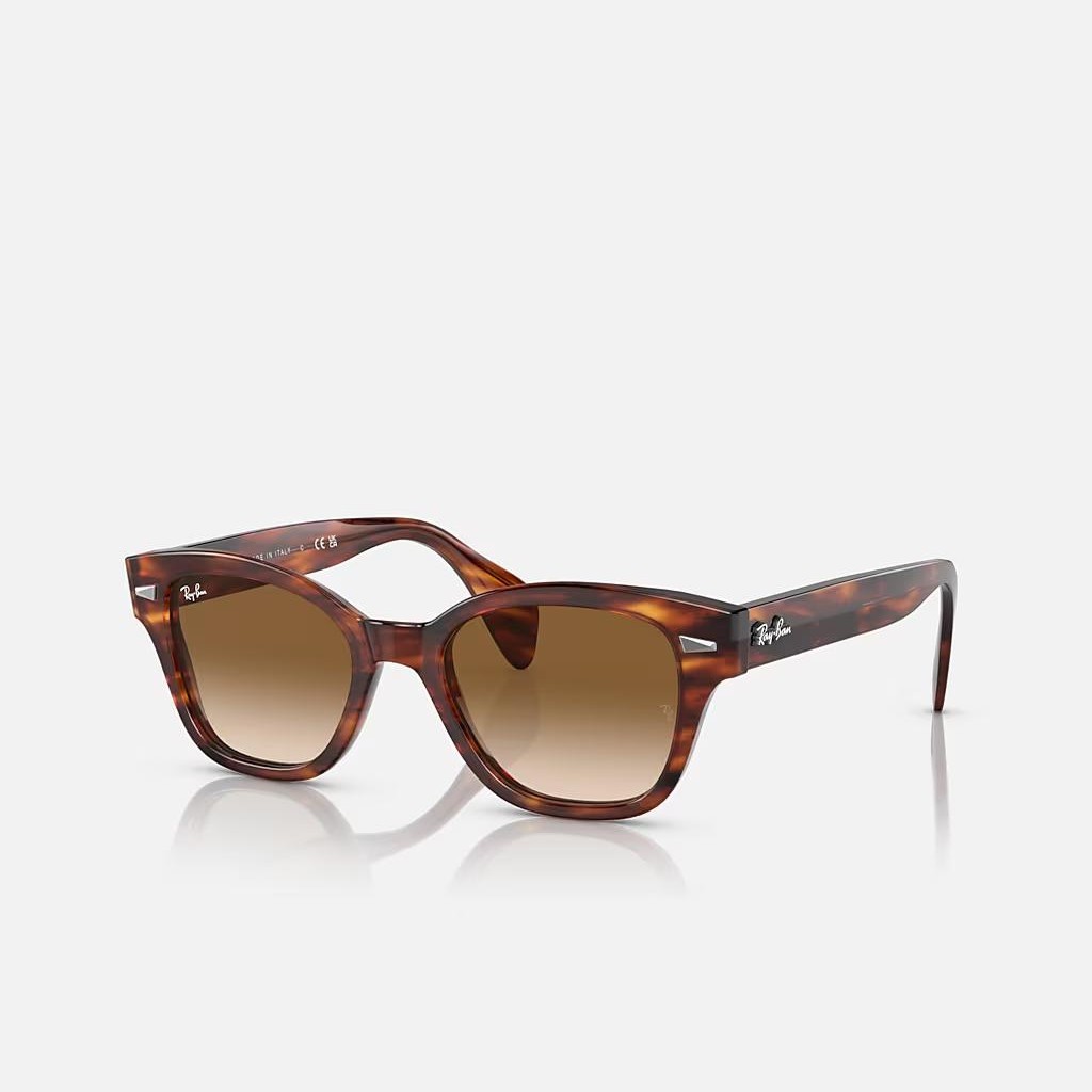 Kính Ray-Ban Rb0880S Nâu