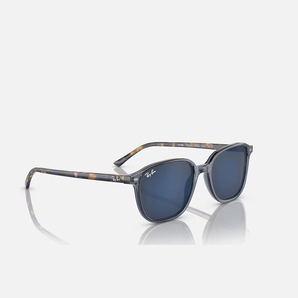 Kính Ray-Ban Leonard Nâu Xanh Dương Đậm