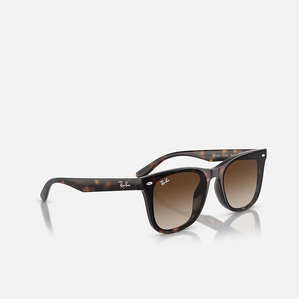 Kính Ray-Ban Rb4420 Nâu