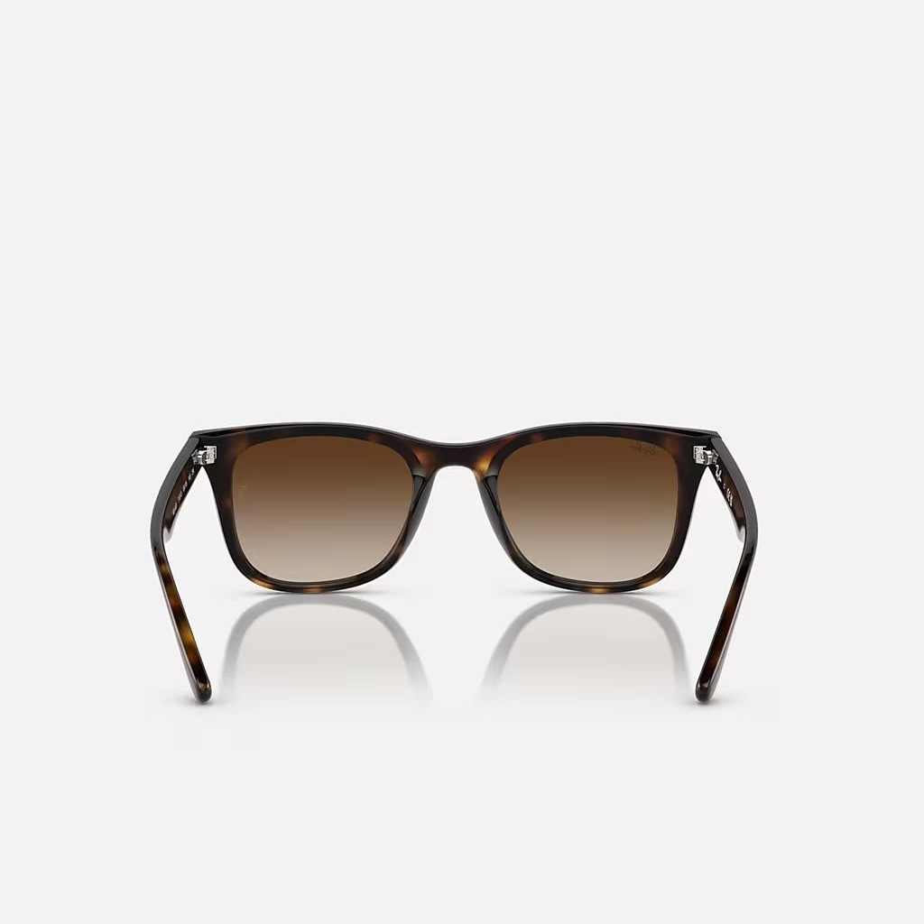 Kính Ray-Ban Rb4420 Nâu