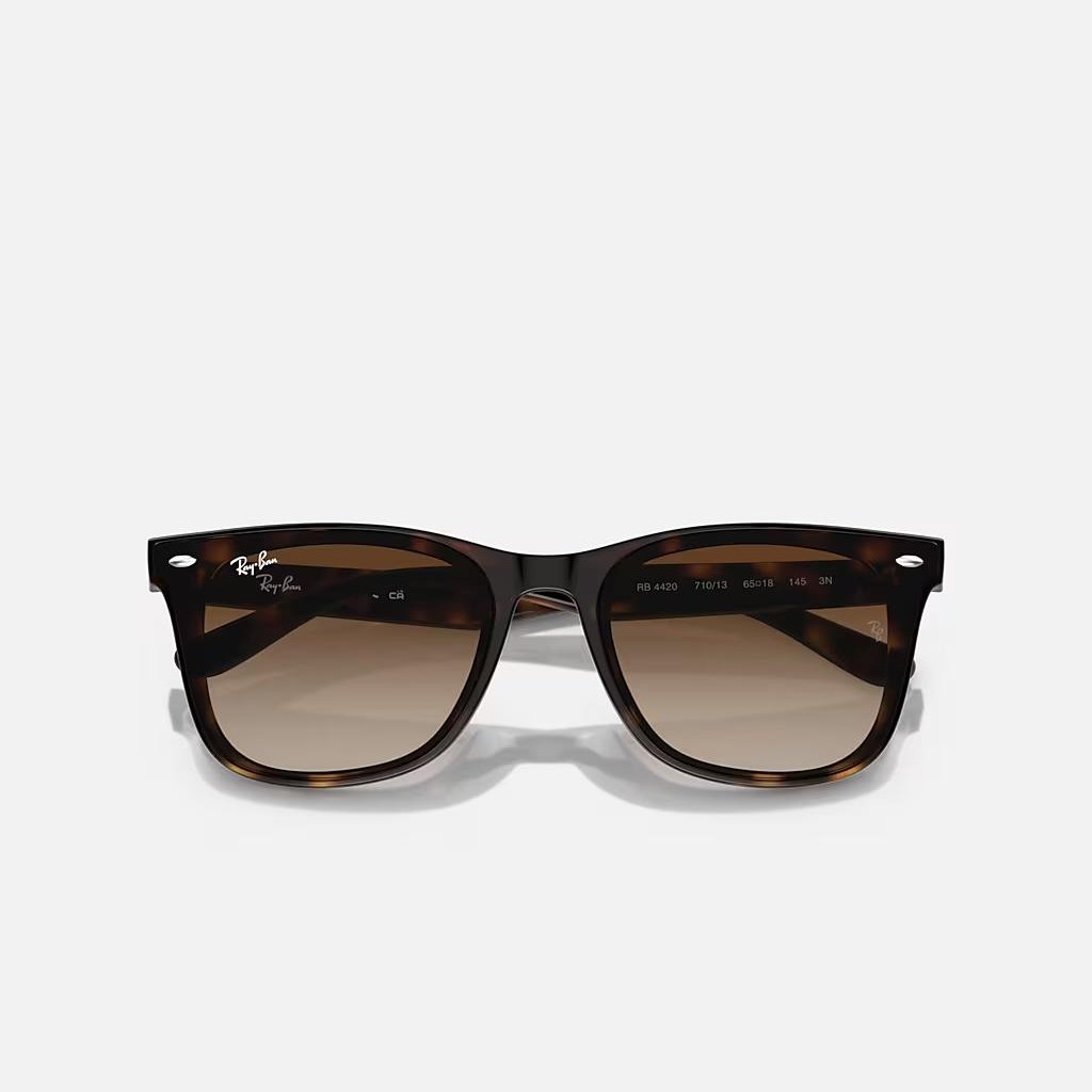 Kính Ray-Ban Rb4420 Nâu