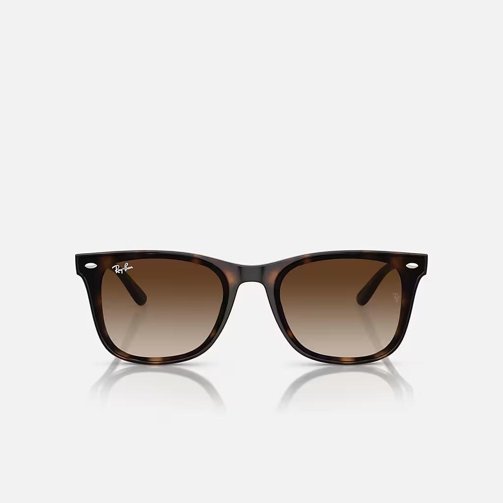 Kính Ray-Ban Rb4420 Nâu