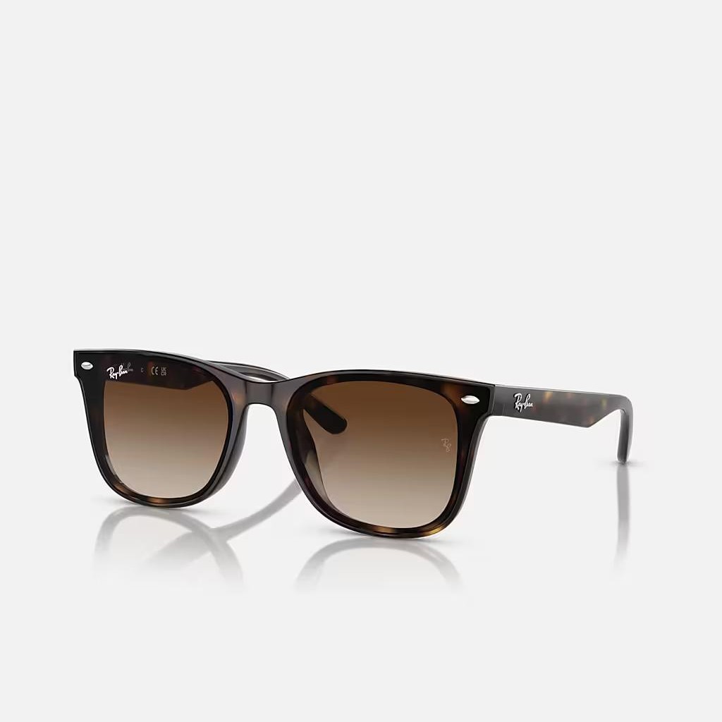 Kính Ray-Ban Rb4420 Nâu