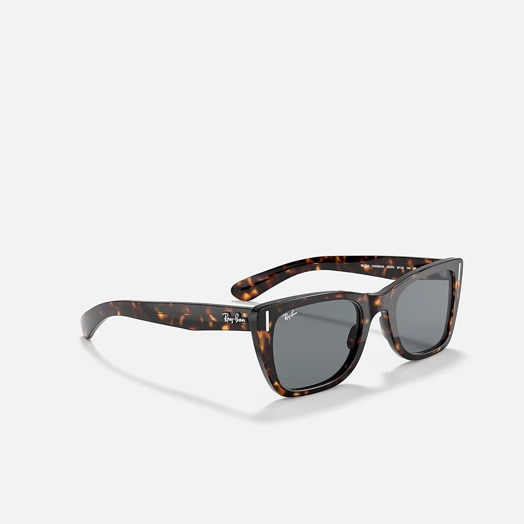 Kính Ray-Ban Caribbean Nâu Xanh Dương