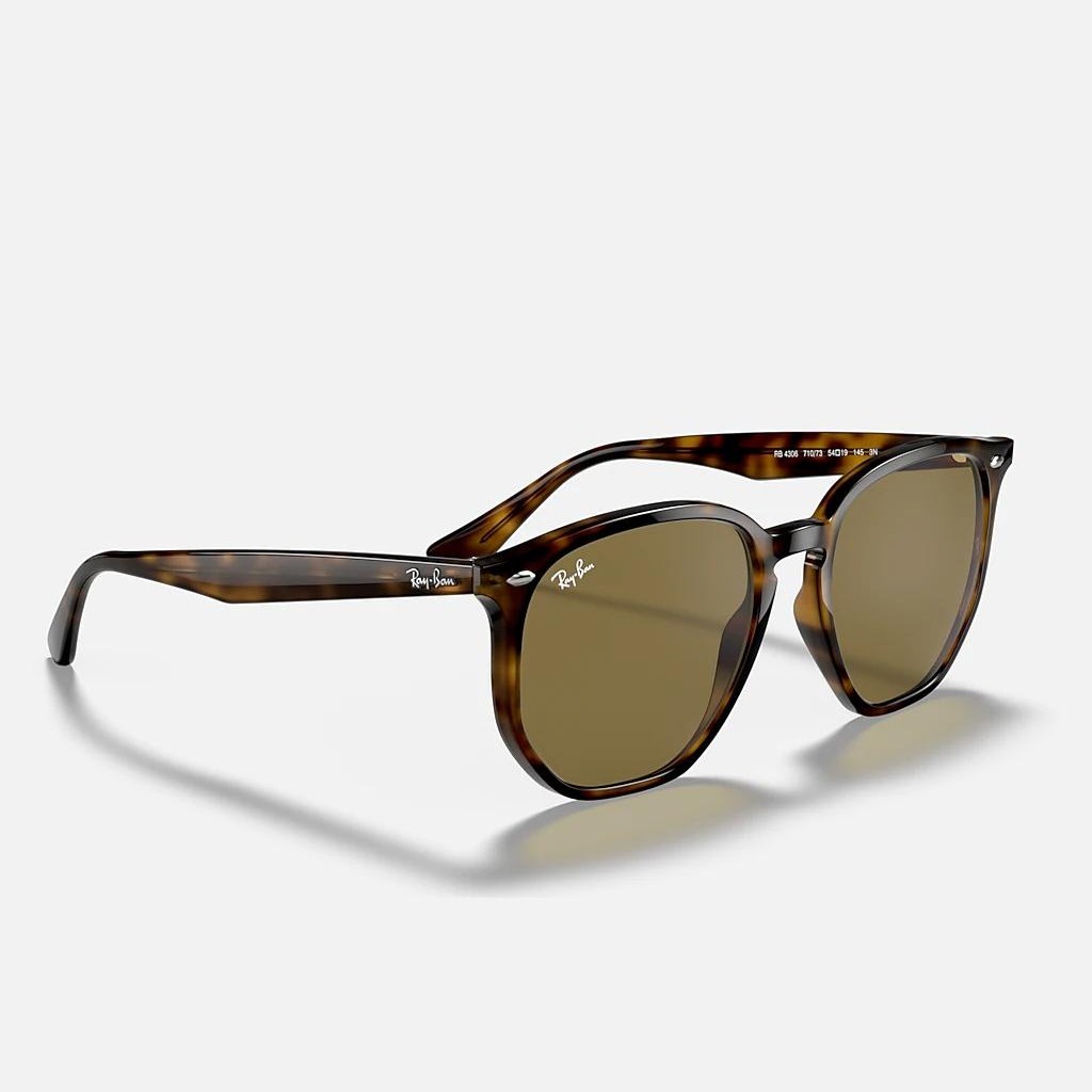 Kính Ray-Ban Rb4306 Nâu Đậm