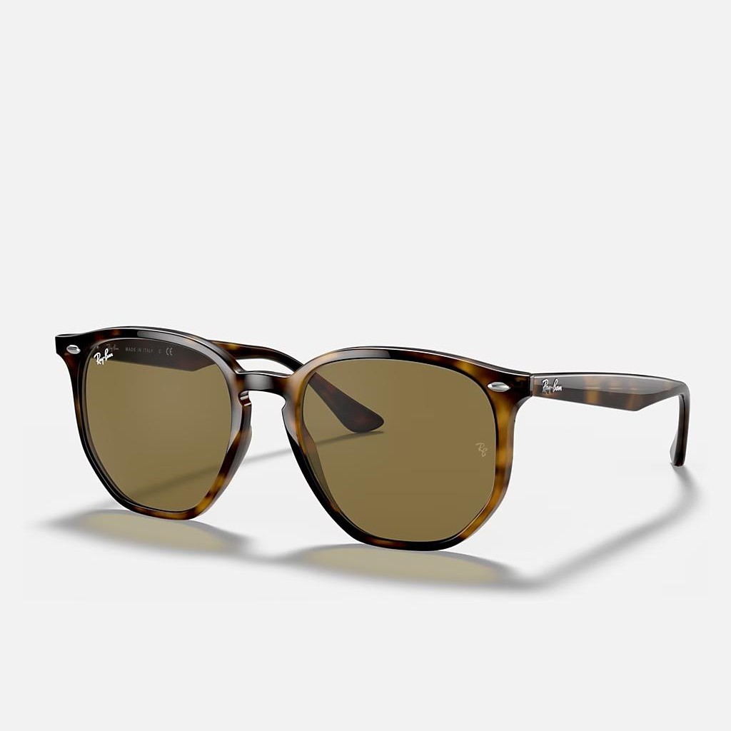 Kính Ray-Ban Rb4306 Nâu Đậm