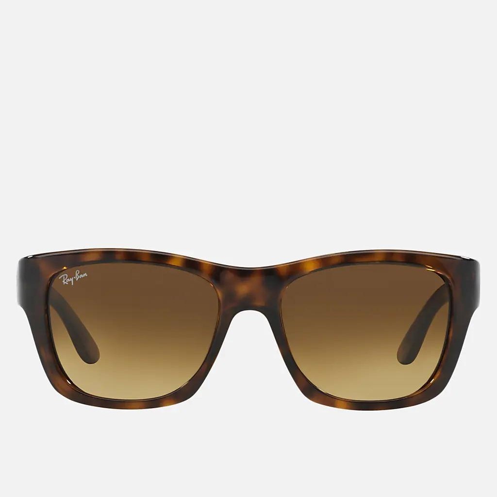 Kính Ray-Ban Rb4194 Nâu Đậm