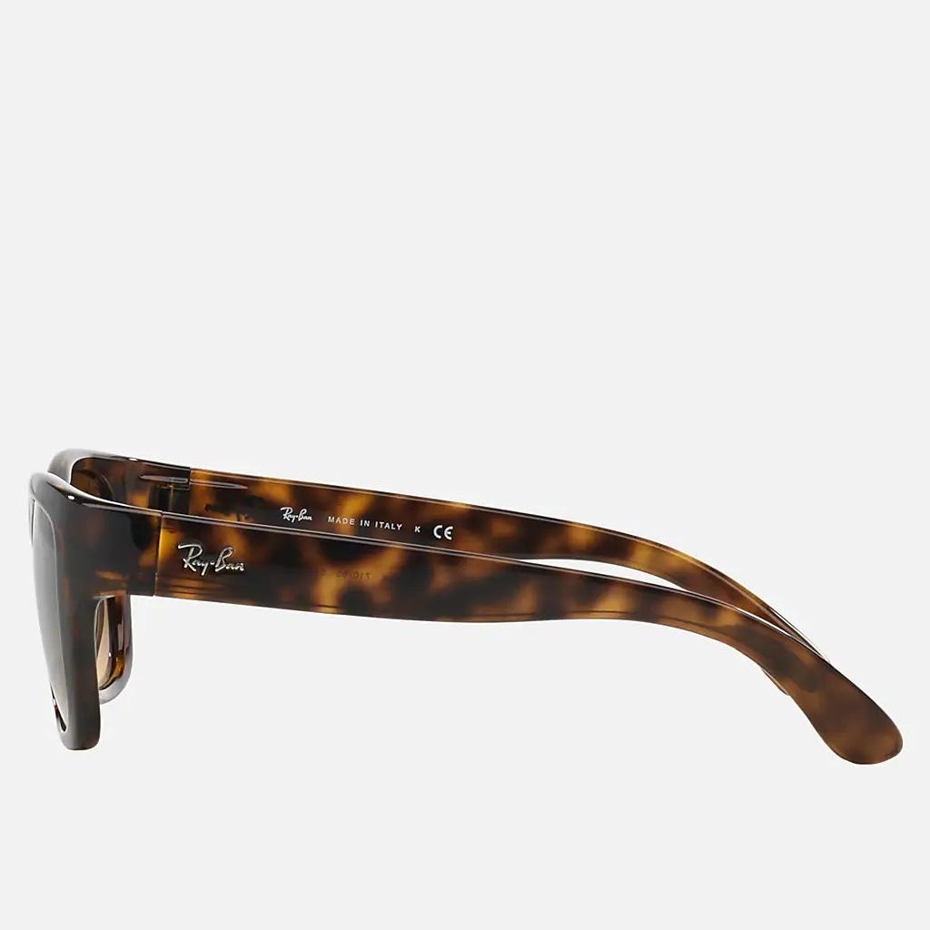 Kính Ray-Ban Rb4194 Nâu Đậm