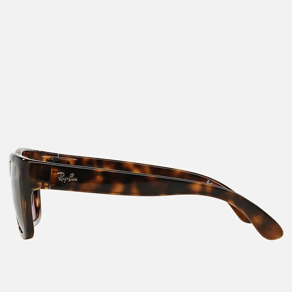 Kính Ray-Ban Rb4194 Nâu Sáng