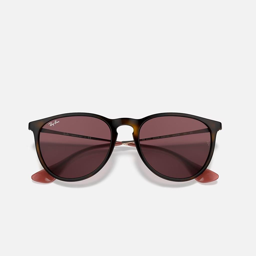 Kính Ray-Ban Erika Color Mix Nâu Tím