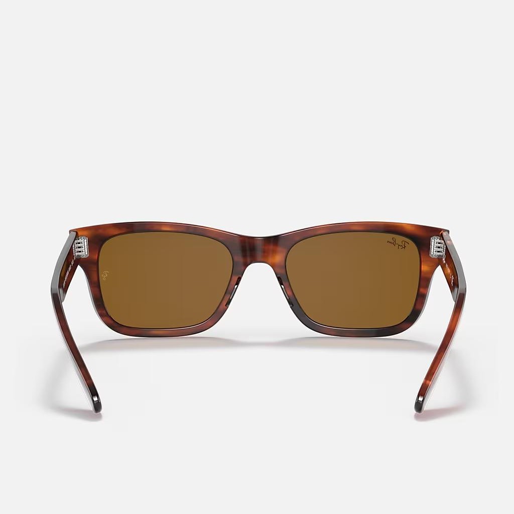 Kính Ray-Ban Burbank Nâu