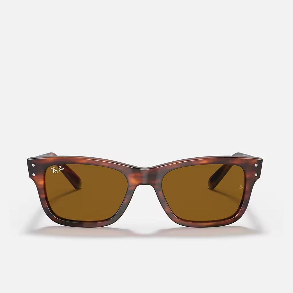 Kính Ray-Ban Burbank Nâu