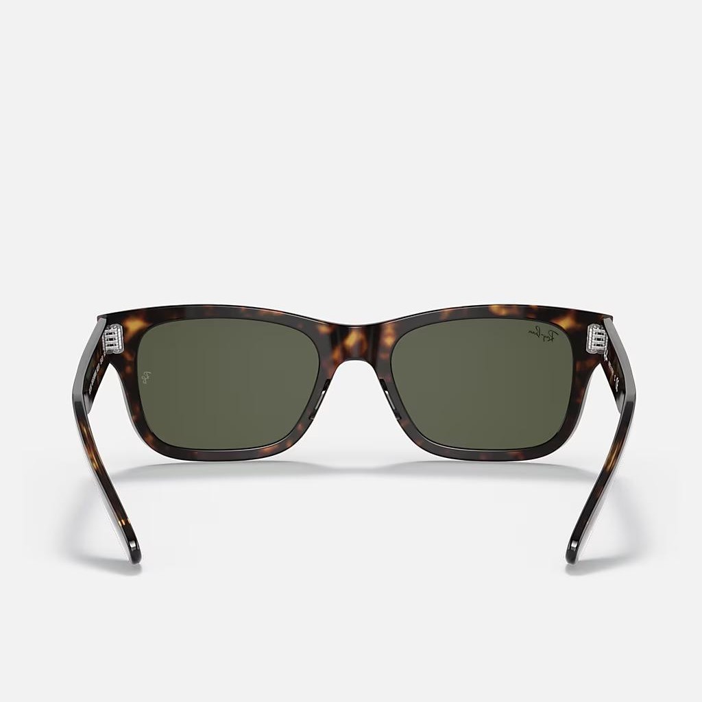 Kính Ray-Ban Burbank Nâu Xanh Lá