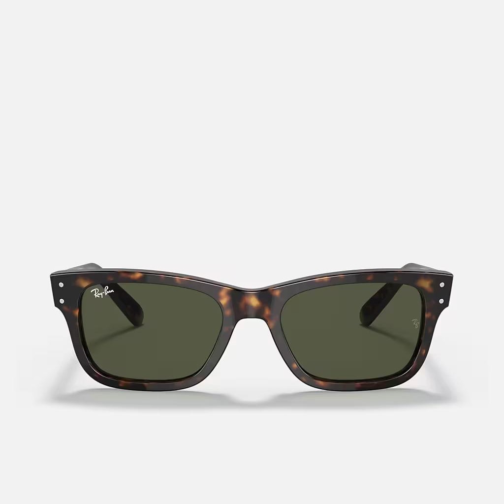 Kính Ray-Ban Burbank Nâu Xanh Lá