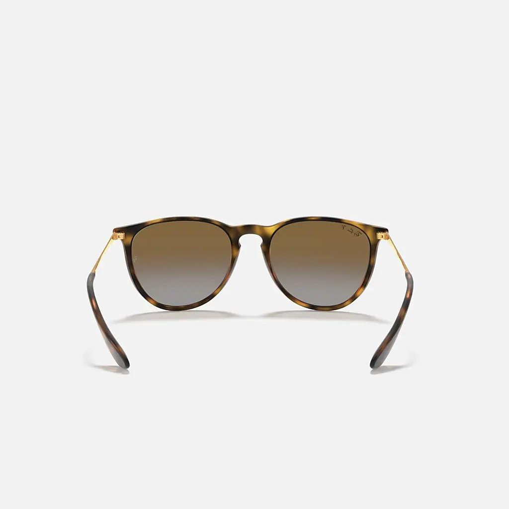 Kính Ray-Ban Erika @Collection Nâu