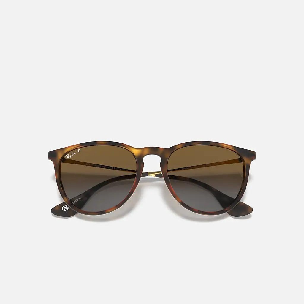 Kính Ray-Ban Erika @Collection Nâu