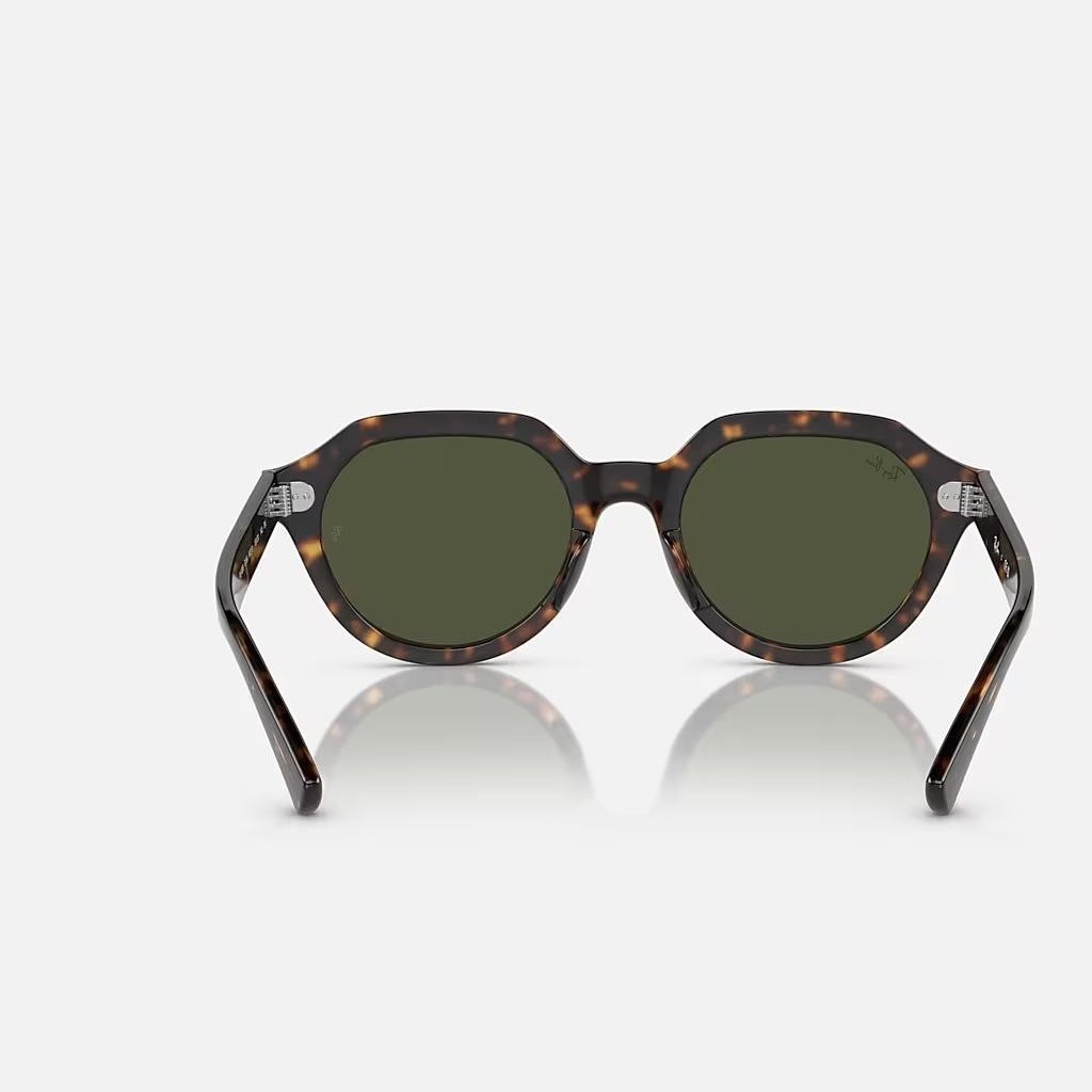 Kính Ray-Ban Gina Nâu Đen