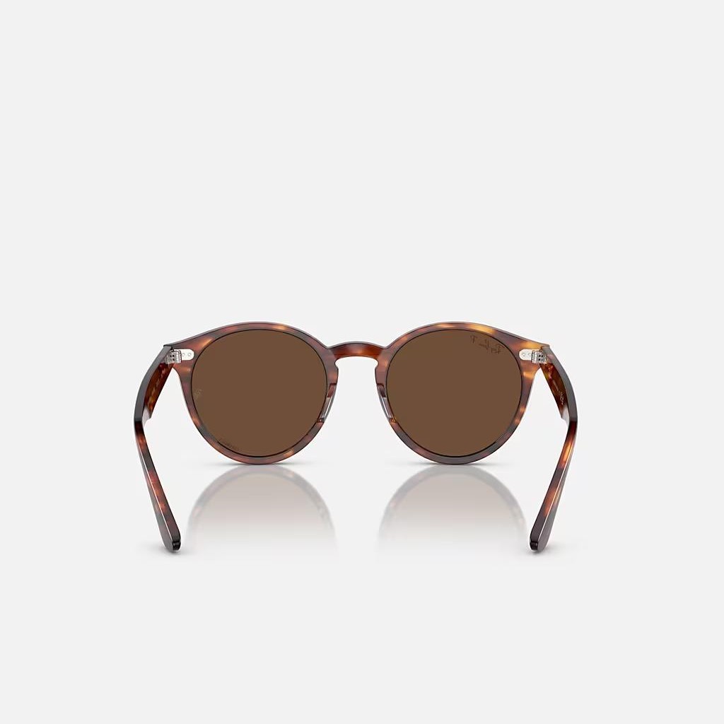 Kính Ray-Ban Larry Nâu