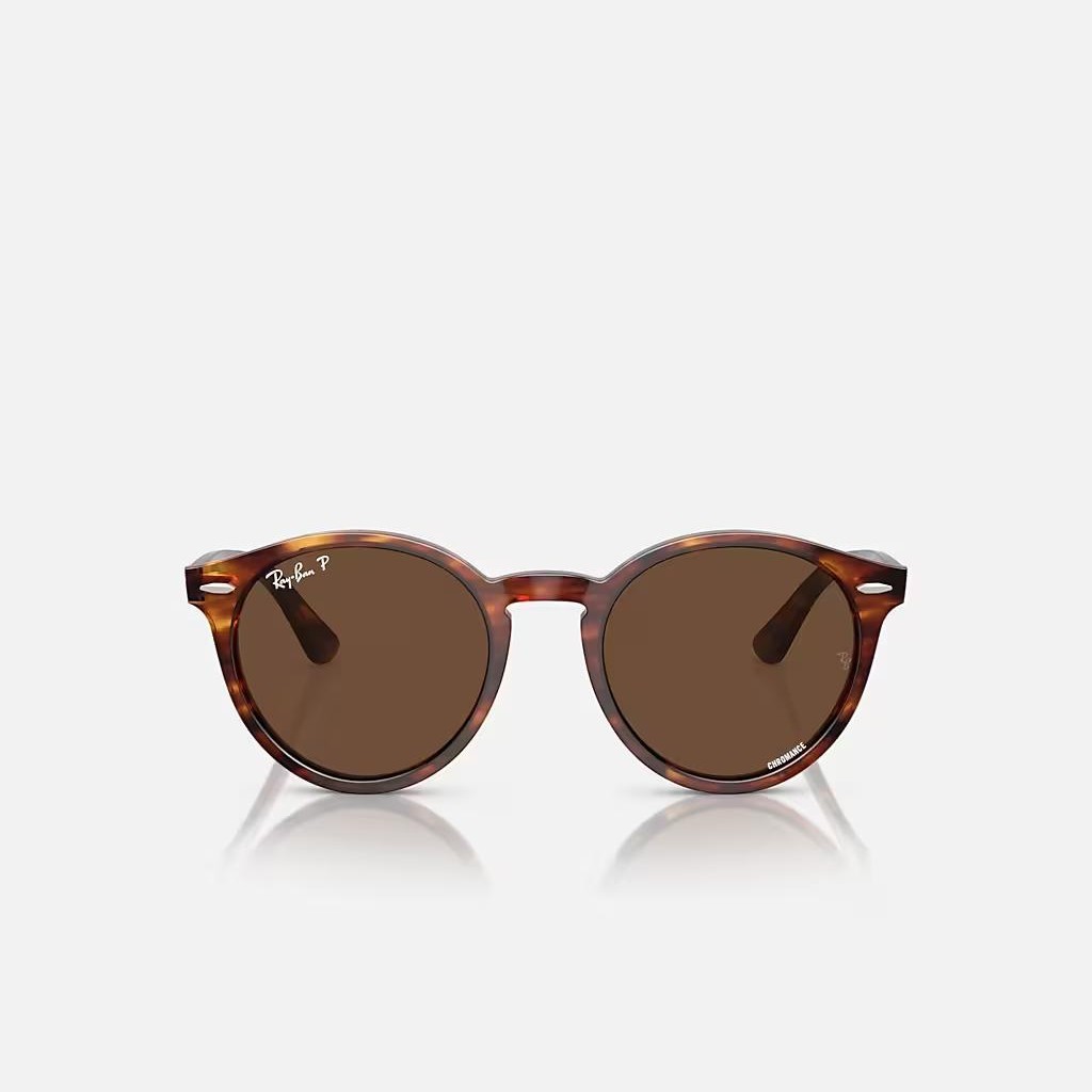 Kính Ray-Ban Larry Nâu