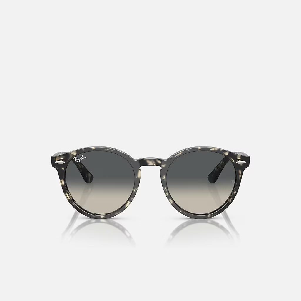 Kính Ray-Ban Larry Xám