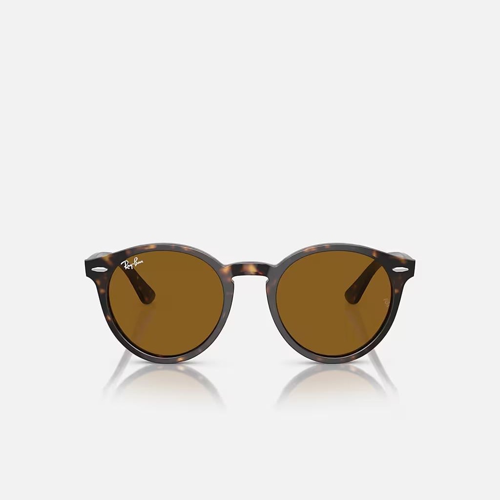 Kính Ray-Ban Larry Nâu Sáng