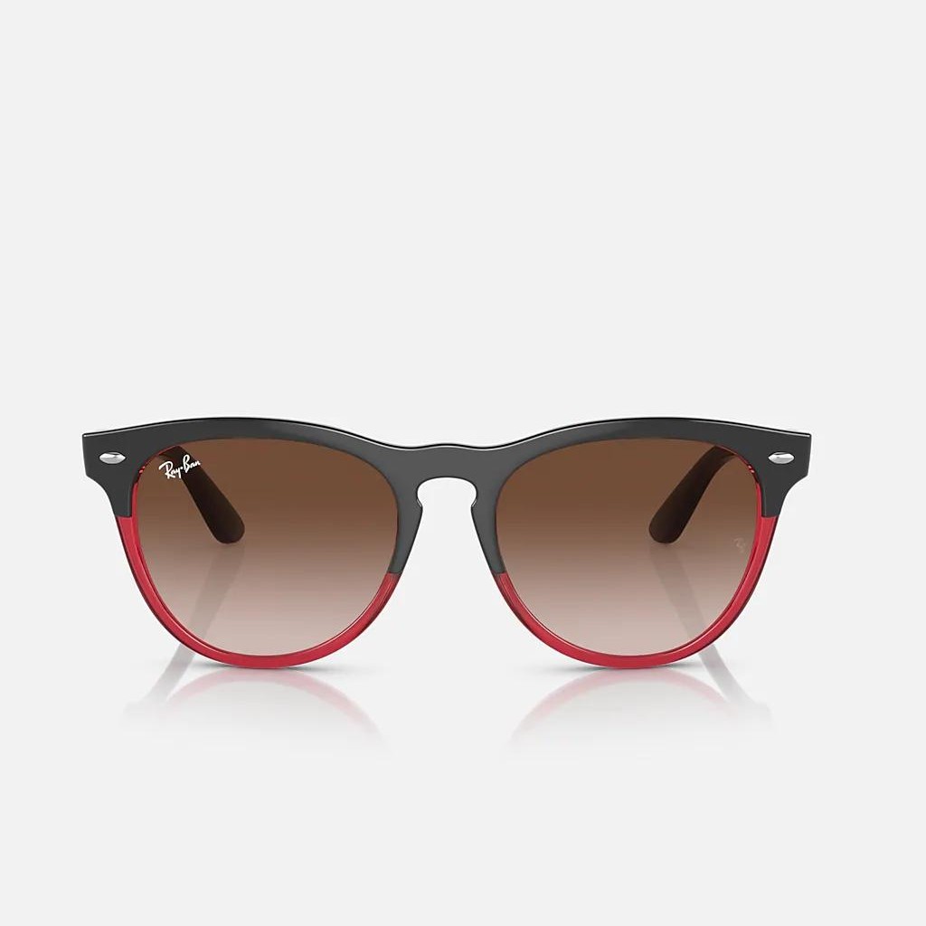 Kính Ray-Ban Iris Xám Đỏ Nâu