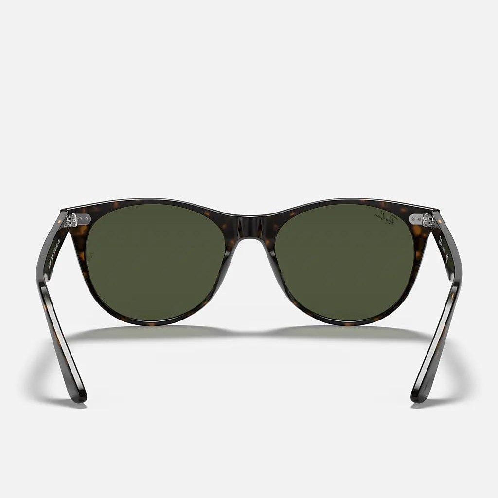 Kính Ray-Ban Wayfarer Ii Classic Nâu Xanh Lá