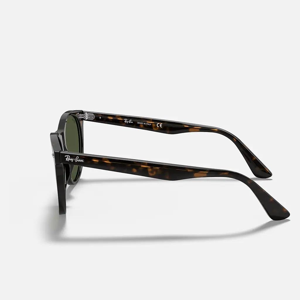 Kính Ray-Ban Wayfarer Ii Classic Nâu Xanh Lá