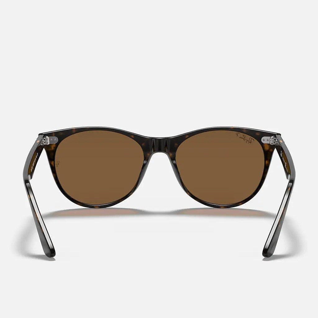 Kính Ray-Ban WAYFARER II CLASSIC Nâu