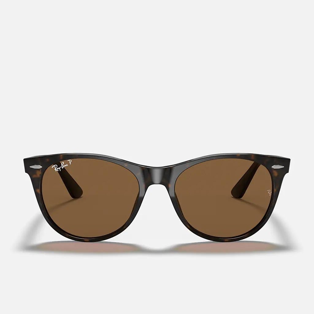 Kính Ray-Ban WAYFARER II CLASSIC Nâu