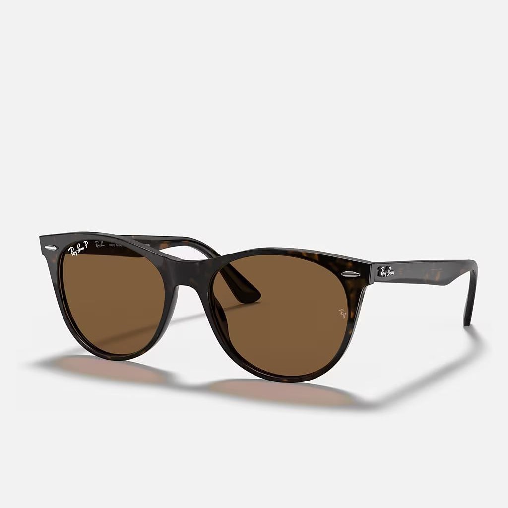 Kính Ray-Ban WAYFARER II CLASSIC Nâu