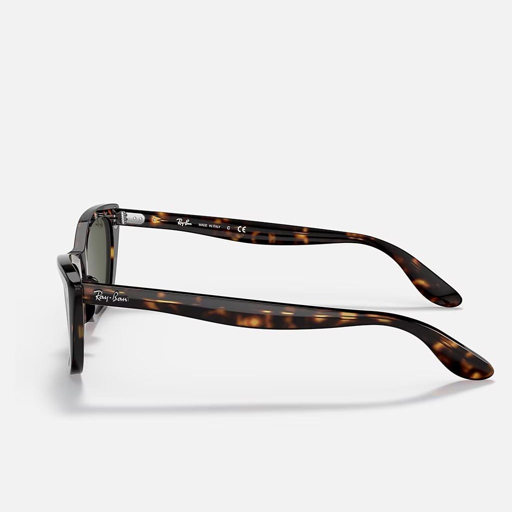 Kính Ray-Ban Lady Burbank Nâu Xanh Lá