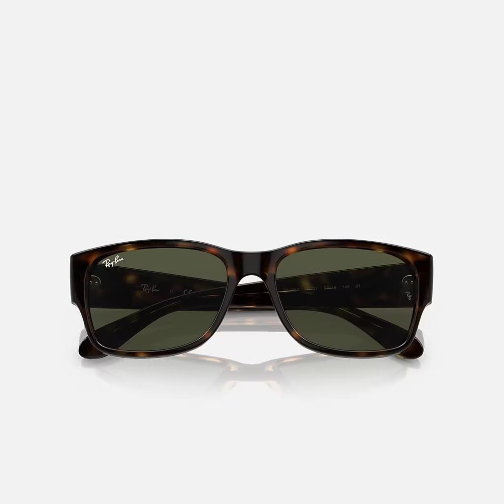 Kính Ray-Ban Rb4388 Nâu Đen