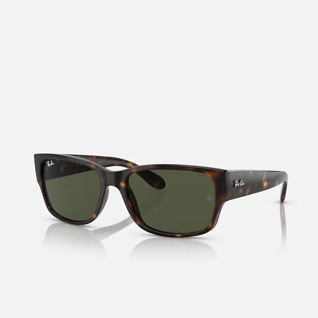 Kính Ray-Ban Rb4388 Nâu Đen