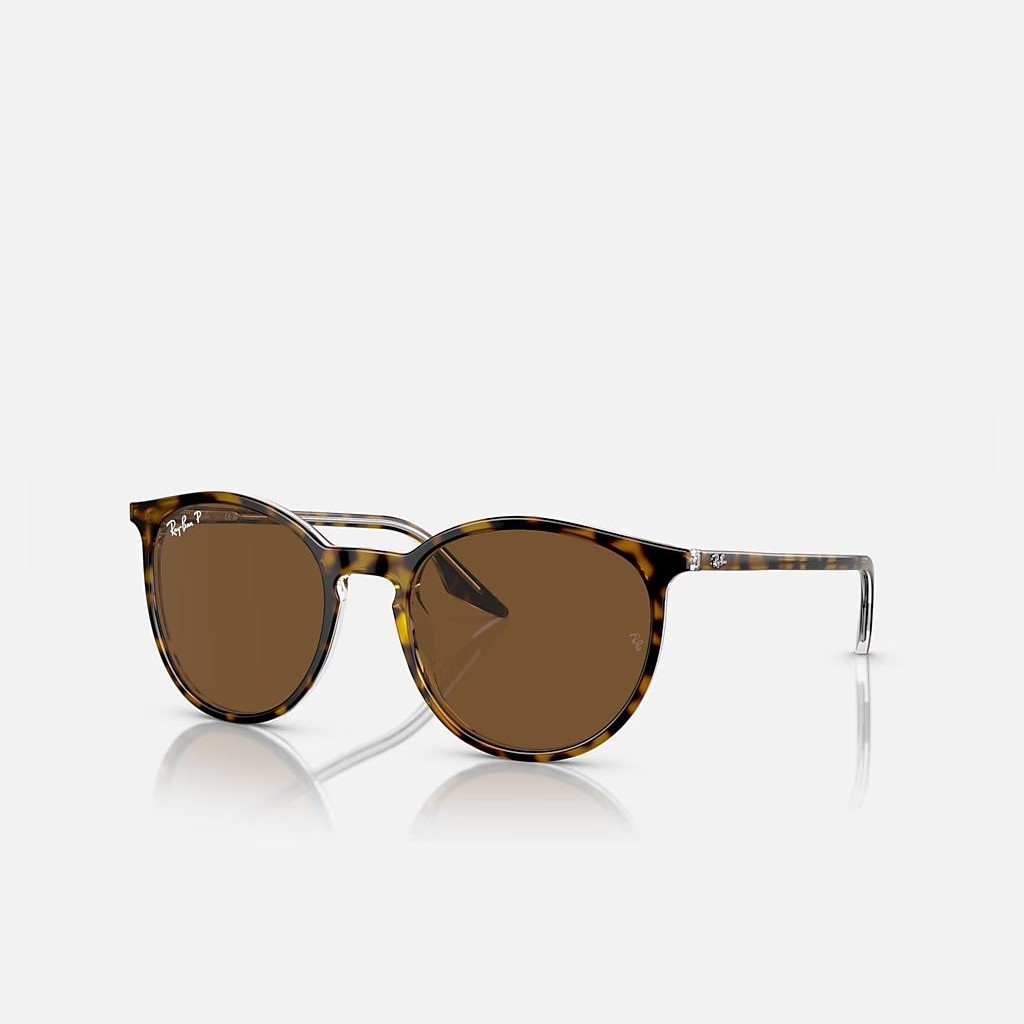 Kính Ray-Ban Rb2204 Nâu Đậm