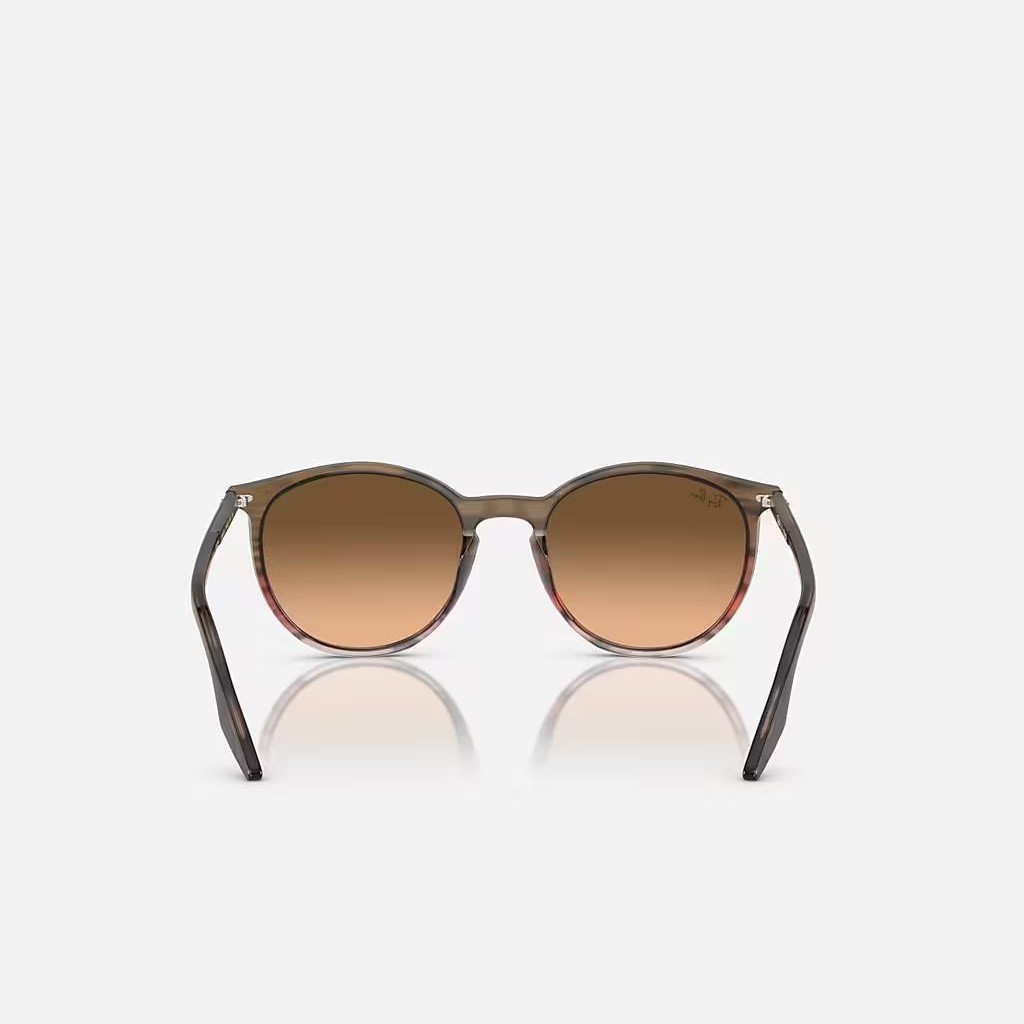 Kính Ray-Ban Rb2204 Nâu Hồng