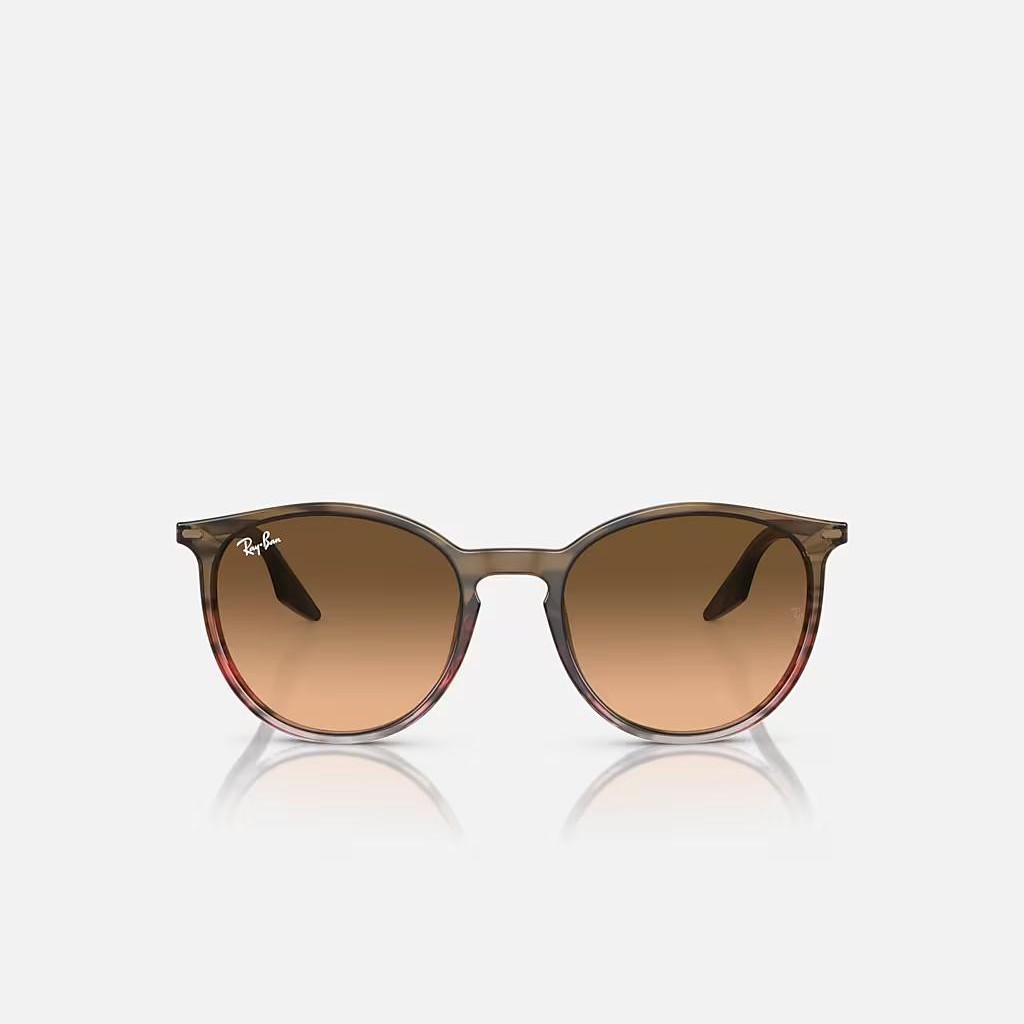 Kính Ray-Ban Rb2204 Nâu Hồng