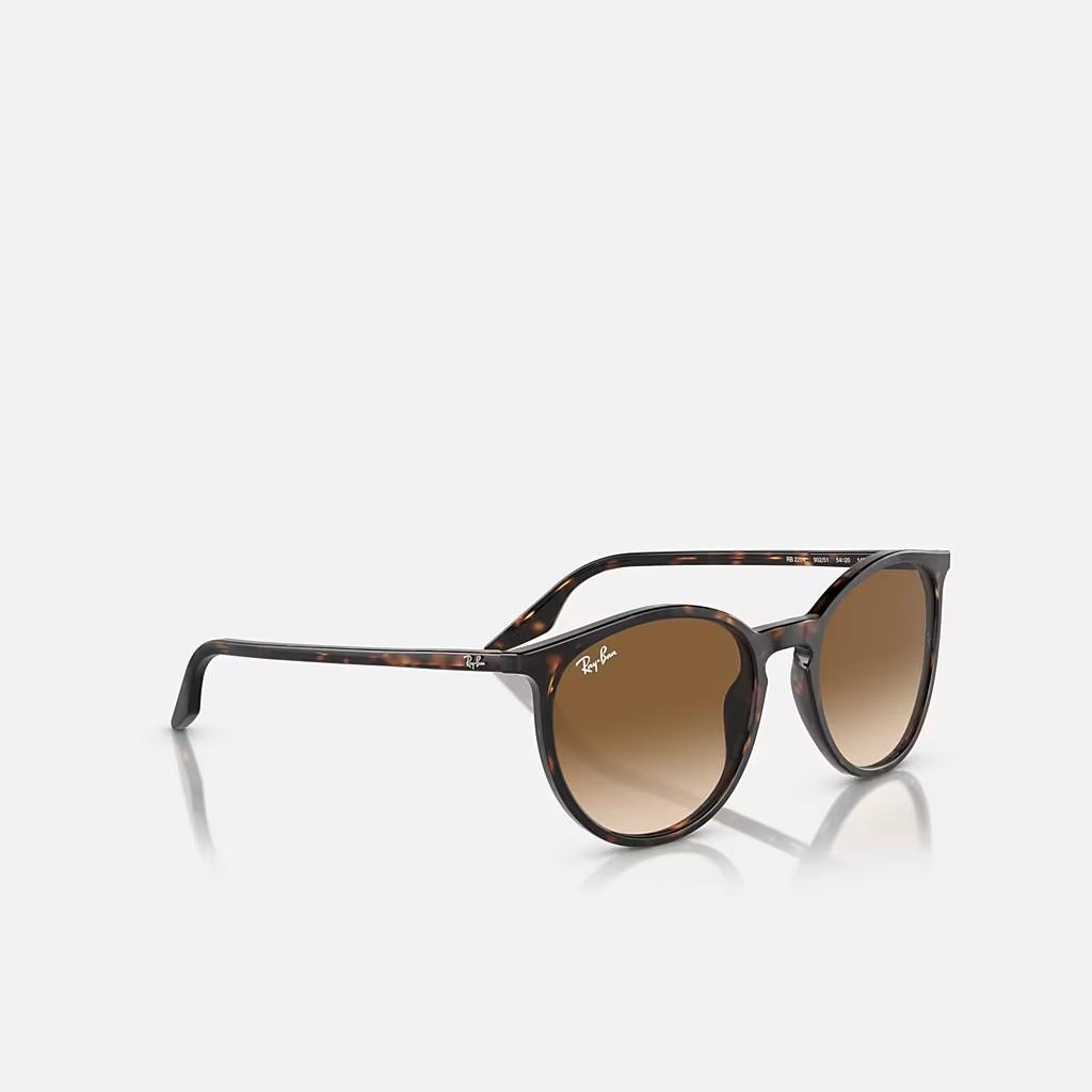 Kính Ray-Ban Rb2204 Nâu Sáng