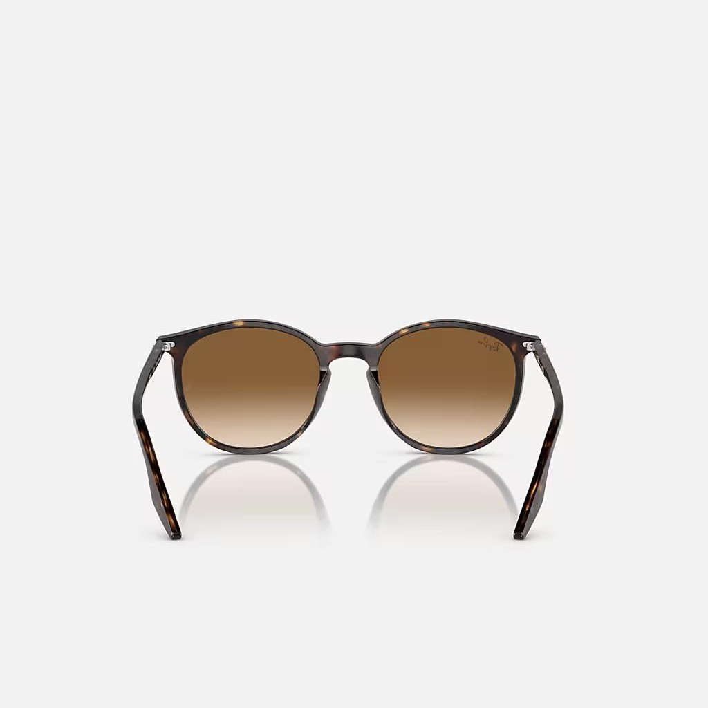 Kính Ray-Ban Rb2204 Nâu Sáng