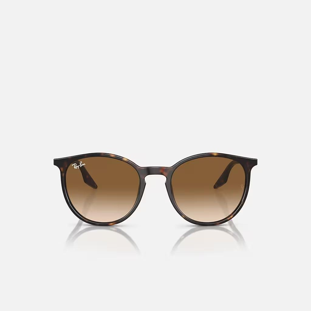 Kính Ray-Ban Rb2204 Nâu Sáng