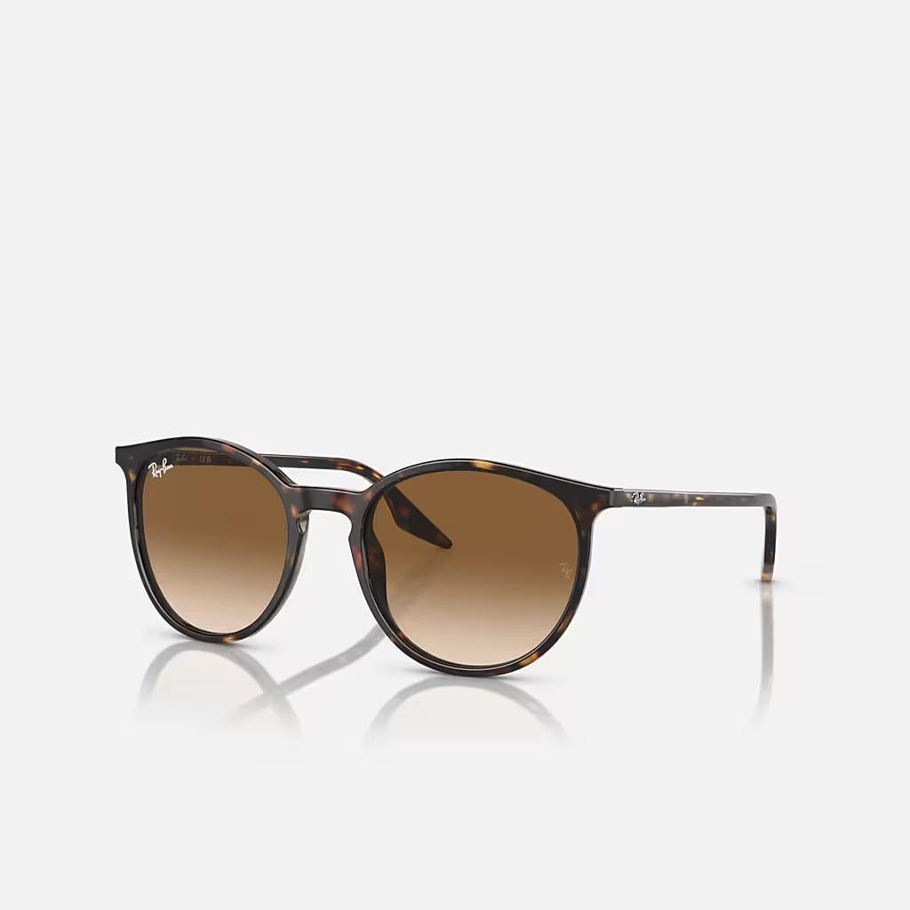 Kính Ray-Ban Rb2204 Nâu Sáng