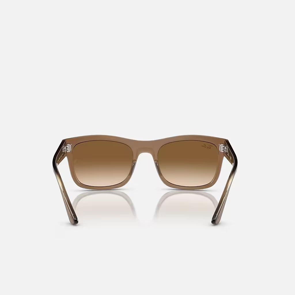 Kính Ray-Ban Rb4428 Nâu Sáng