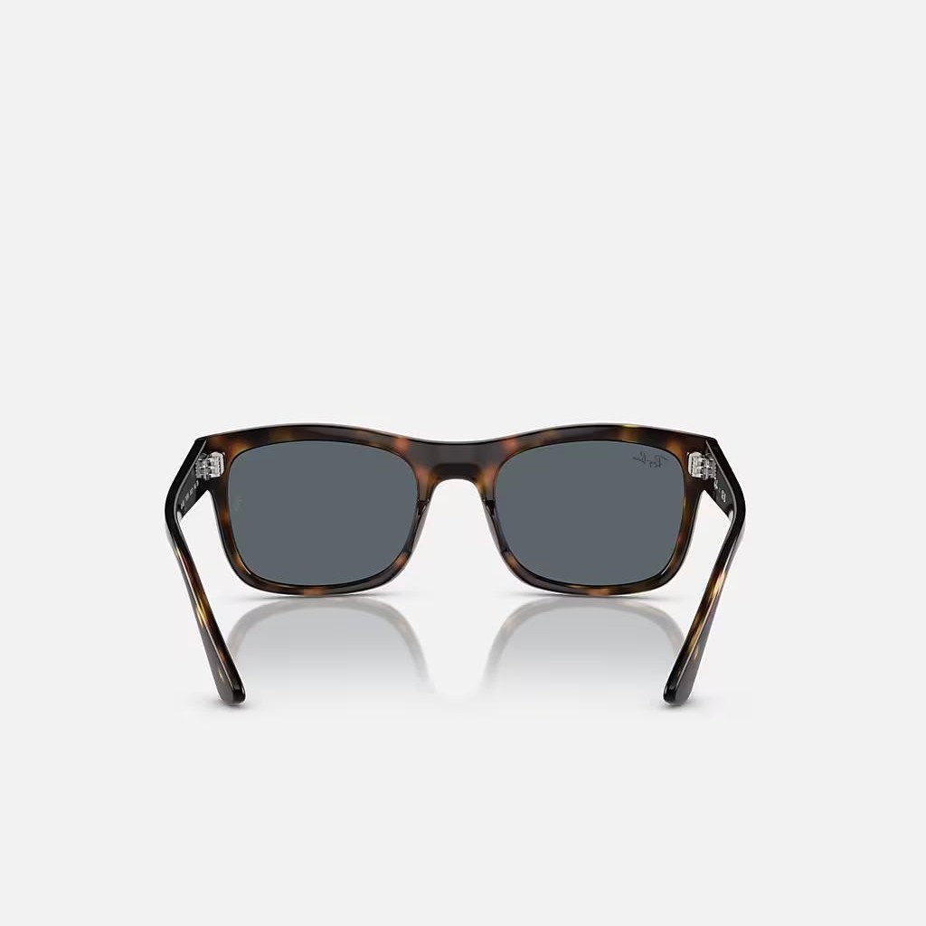 Kính Ray-Ban Rb4428 Nâu Xanh Dương