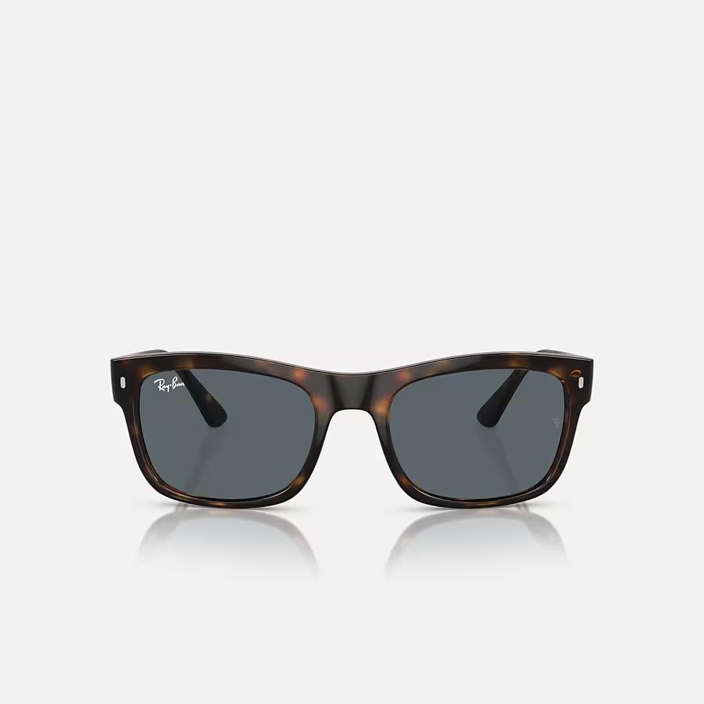 Kính Ray-Ban Rb4428 Nâu Xanh Dương