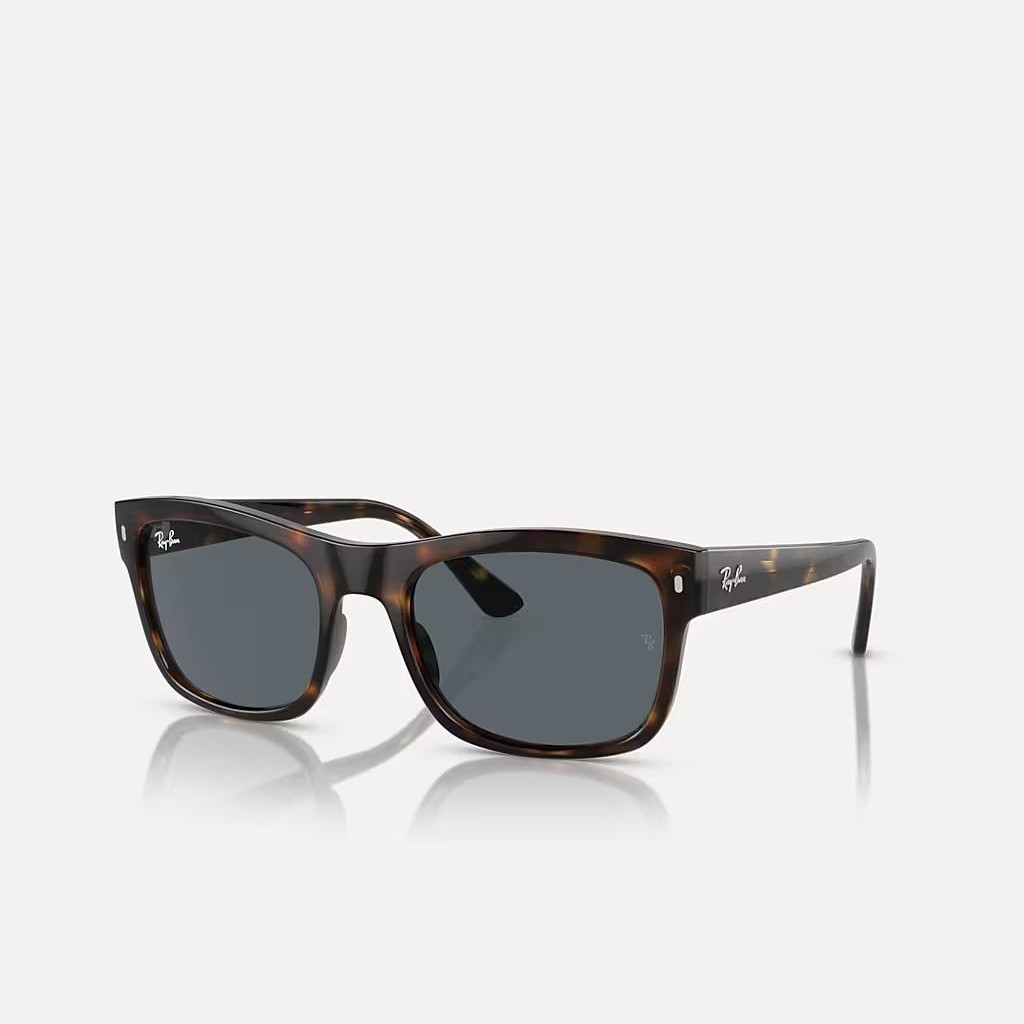 Kính Ray-Ban Rb4428 Nâu Xanh Dương