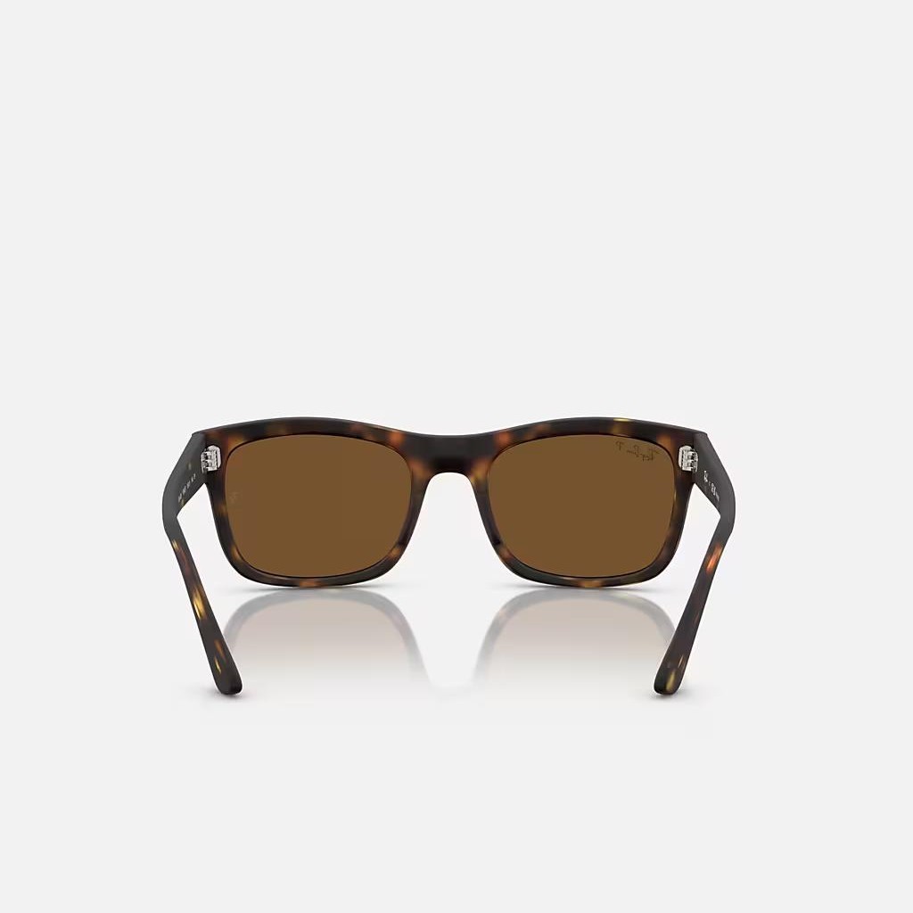 Kính Ray-Ban Rb4428 Nâu