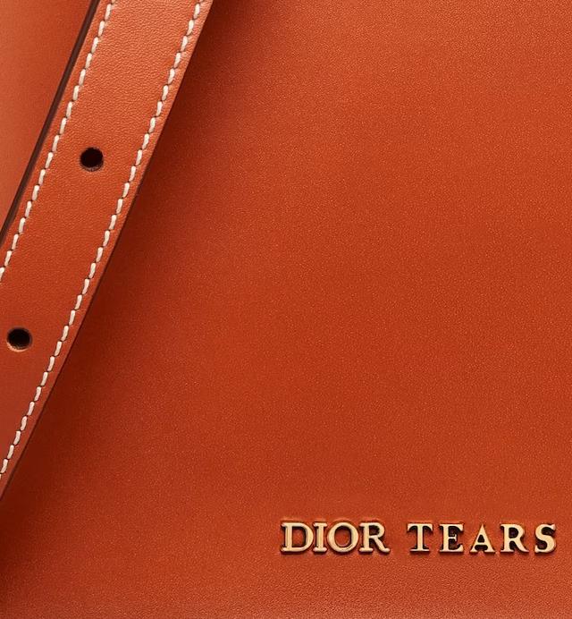 Túi Dior Mini Dior Tears North-South Tote Bag Cognac Brown Smooth Calfskin