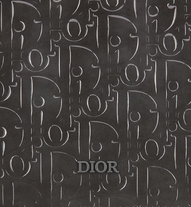 Túi Dior Boxy Bag With Strap Black Dior Oblique Gravity Leather